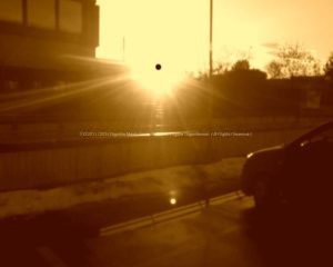 sole1