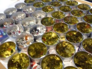 orgonite brasil mix
