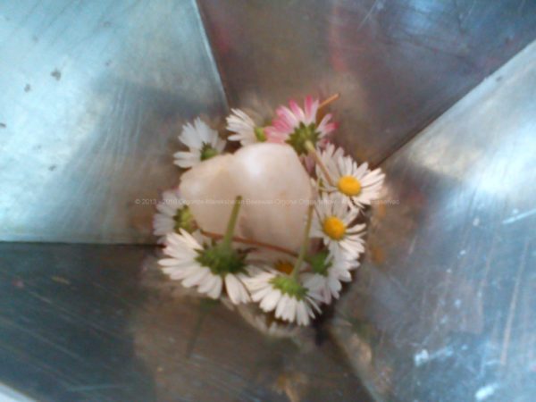 Pyramid orgonite with a huge laser quartz, flowers, beeswax and metals, and russian shungit