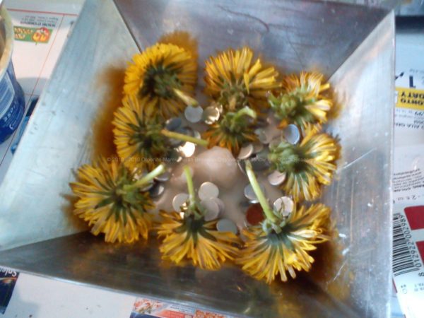 Pyramid orgonite with a huge laser quartz, flowers, beeswax and metals, and russian shungit